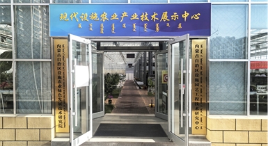 自治區綠色優質果蔬展銷中心