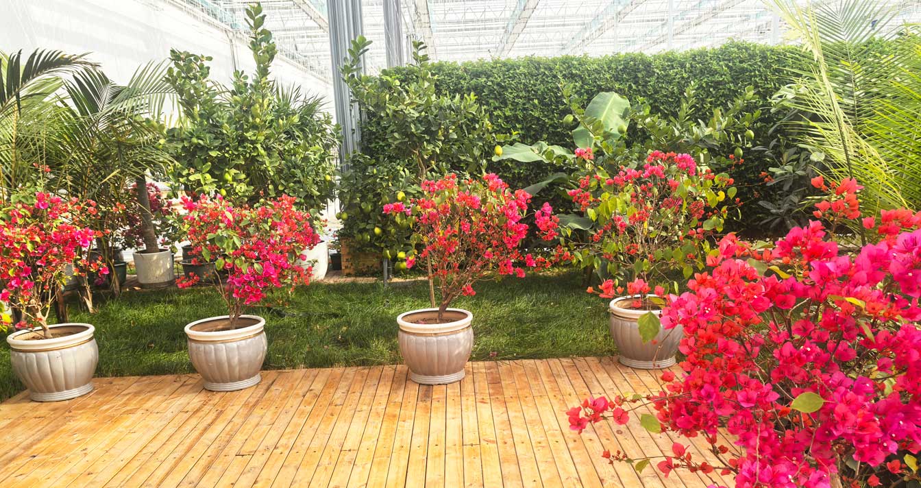 自治區綠色優質果蔬展銷中心psd-恢復的_14.jpg 自治區綠色優質果蔬展銷中心psd-恢復的_14.jpg